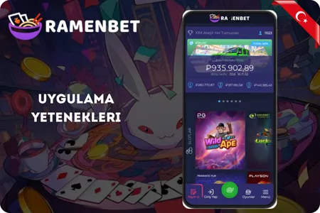 Uygulamanın temel işlevleri